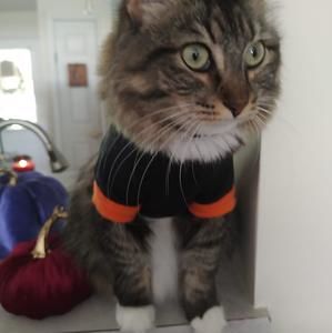 Meet your Posher, Diane